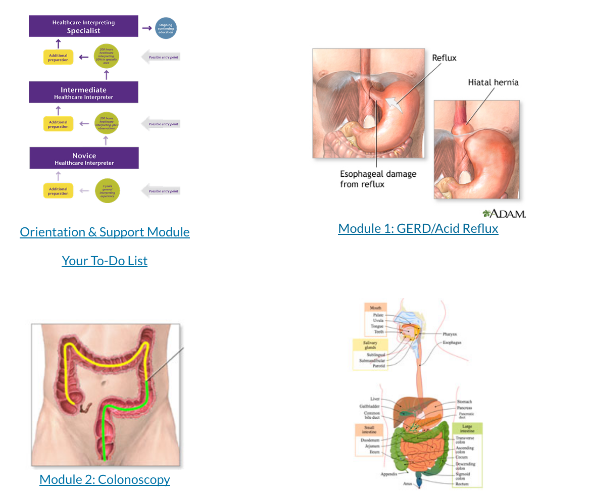 Screen shot of home page for module - with images of healthcare lattice, stomach, colon, and digestive system
